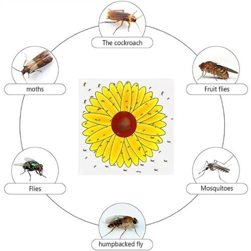 Sonnenblumen-Fliegen-Mörder-Aufkleber